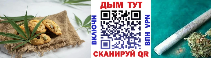 darknet телеграм  Джанкой  Cannafood конопля  сколько стоит 