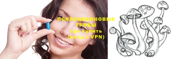 ГАЛЛЮЦИНОГЕННЫЕ ГРИБЫ Алзамай