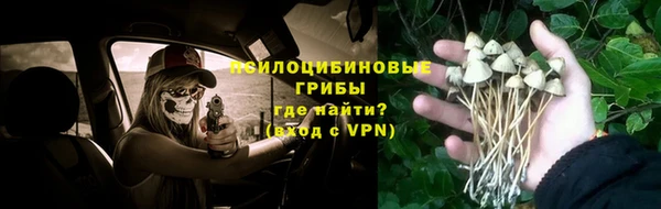 ГАЛЛЮЦИНОГЕННЫЕ ГРИБЫ Алзамай