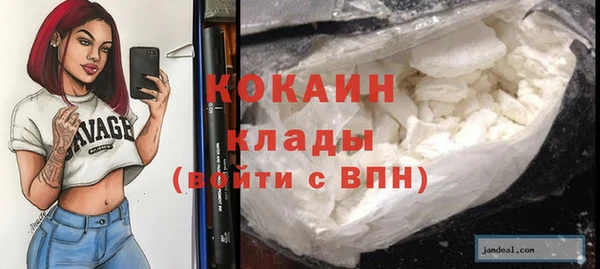 молекула духа Алексин